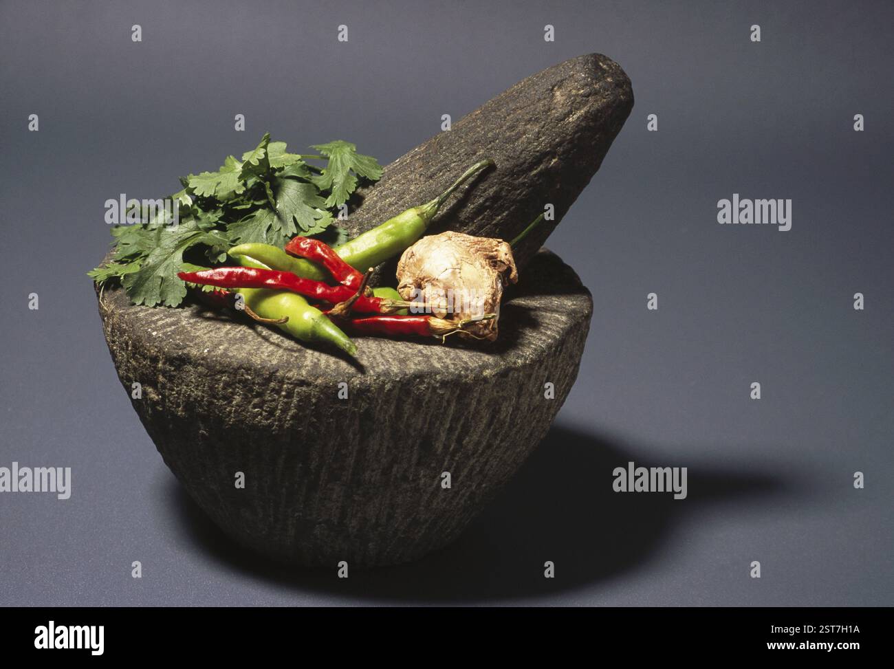 Spice ingredients, pestle and mortar, india Stock Photo
