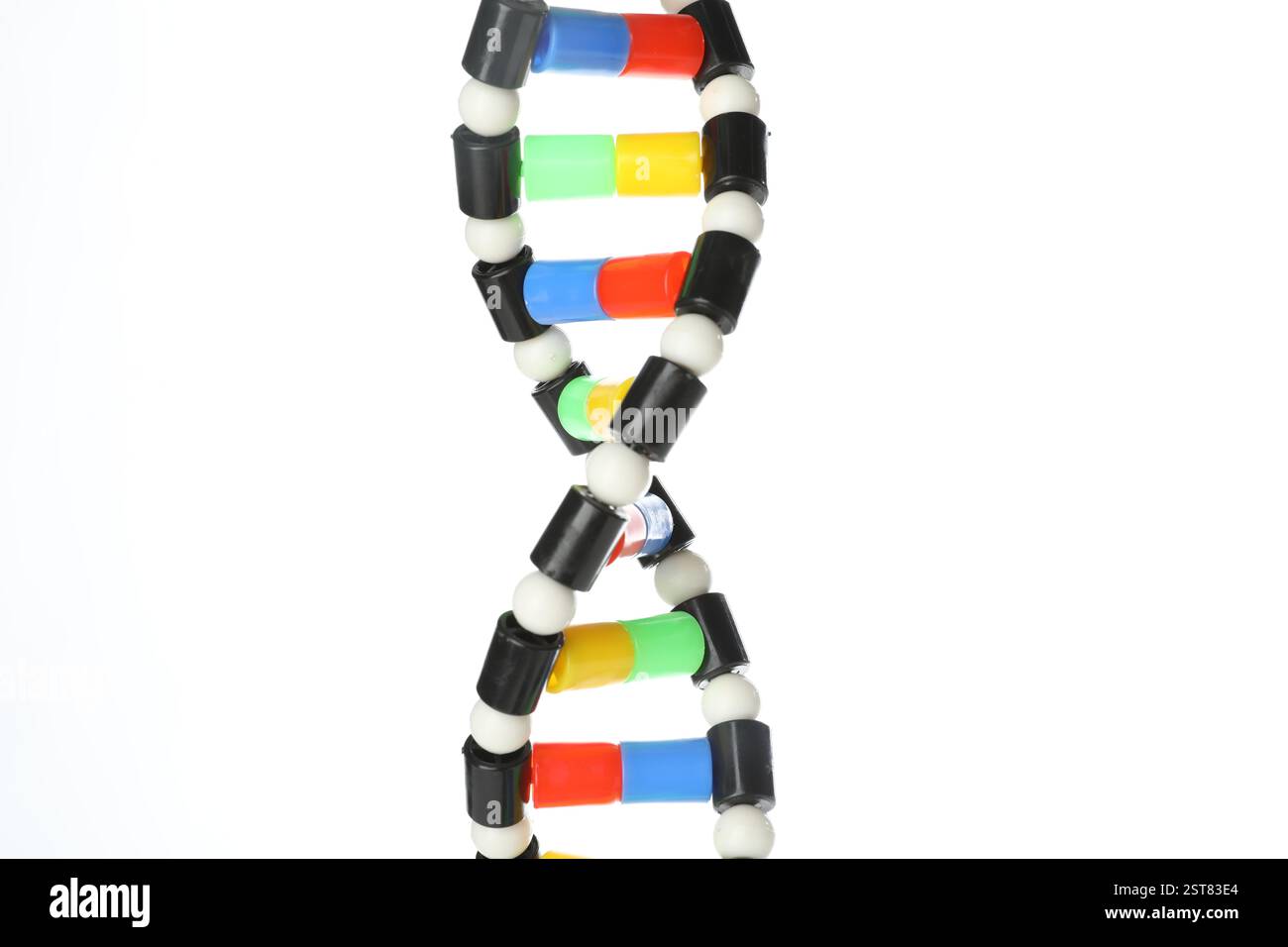 Colorful DNA structure model on white background Stock Photo - Alamy