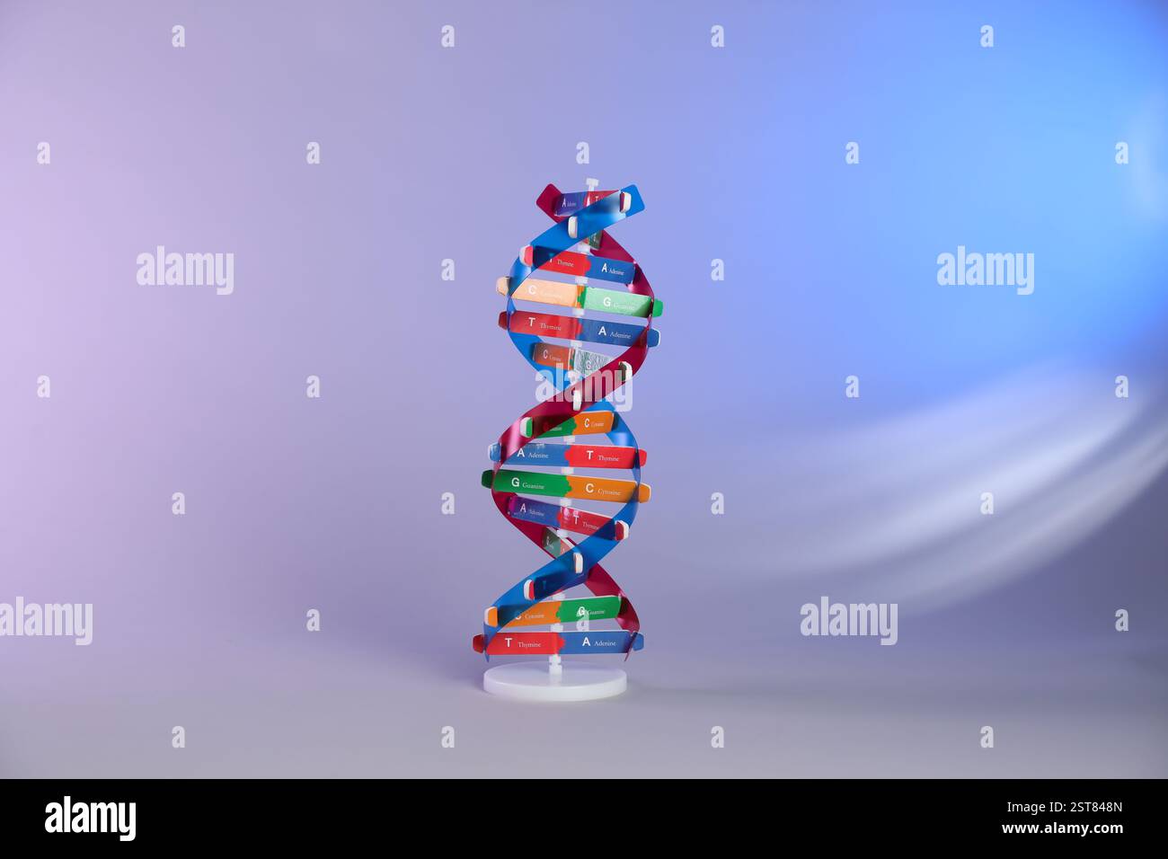 One DNA structure model on color background Stock Photo