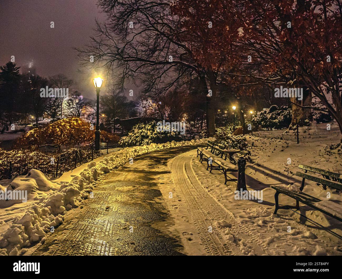 Before and after of a park hi-res stock photography and images - Alamy