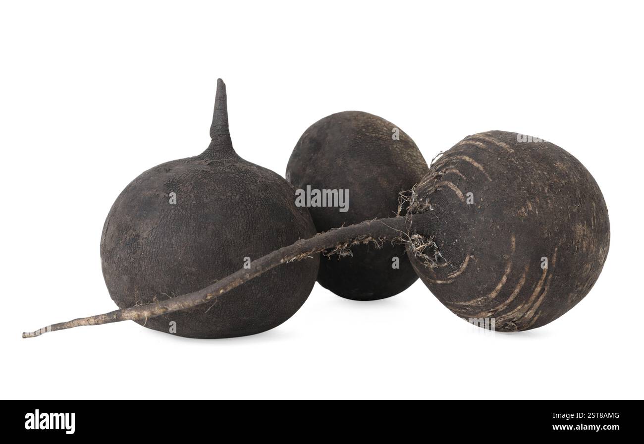 Turnip Roots Real Black turnips isolated on white. Vegetable root Stock Photo - Alamy