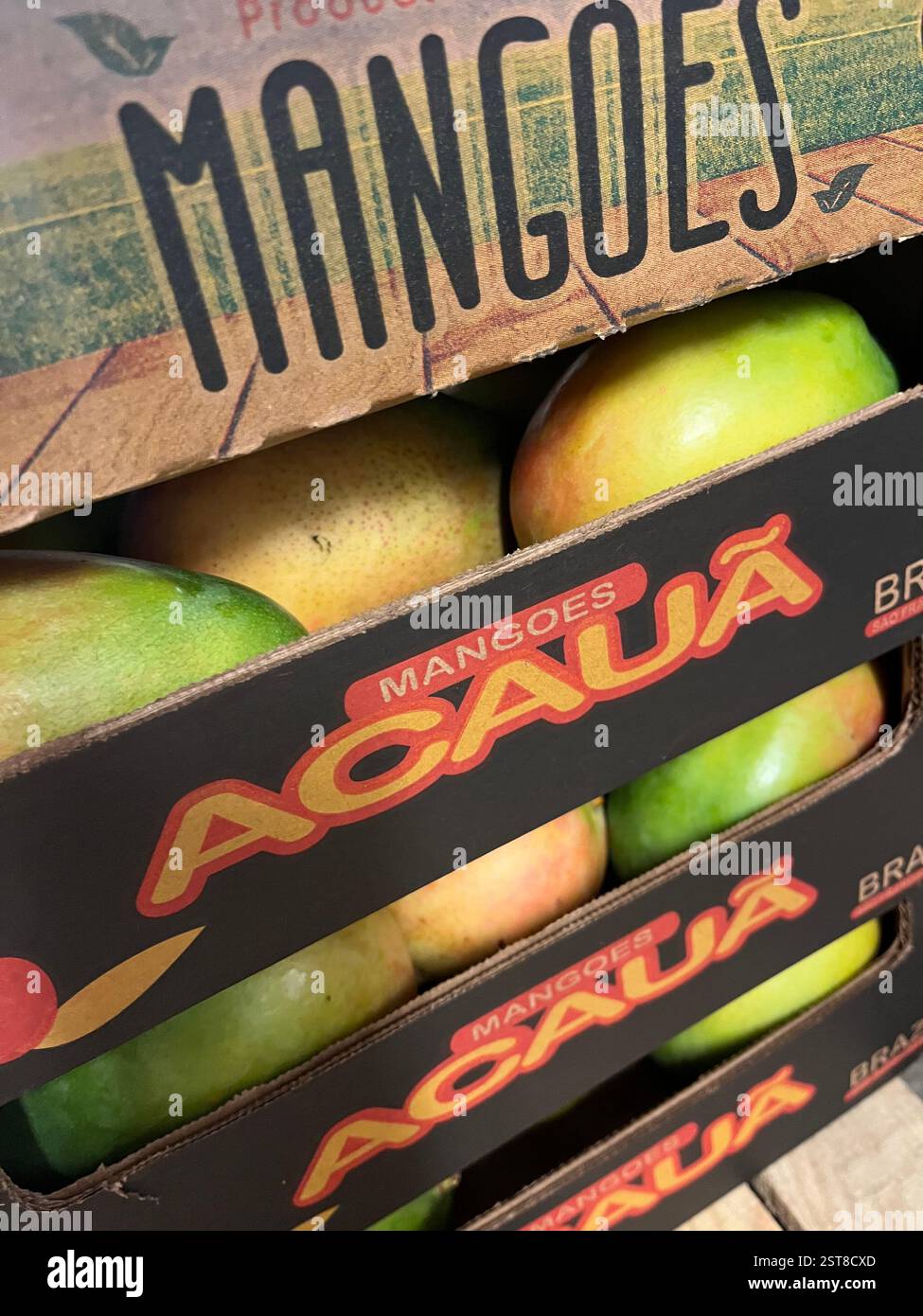 mango, mangos, mangoes, Acauã, Brazil, fruits, warehouse, storage, crate, produce, agriculture, food supply, distribution, supply chain - Smartphone Captured Stock Image