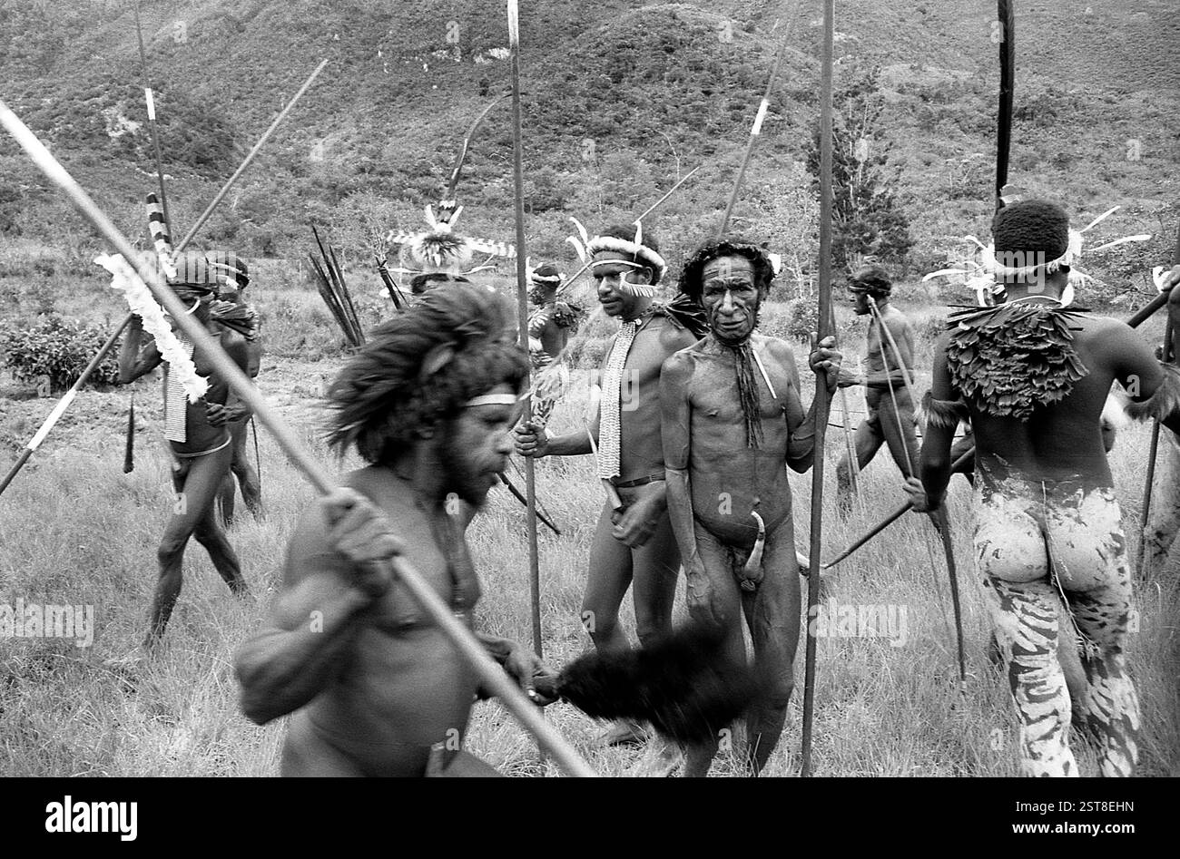 Dani Tribe, Baliem Valley, West Papua, Indonesia Stock Photo