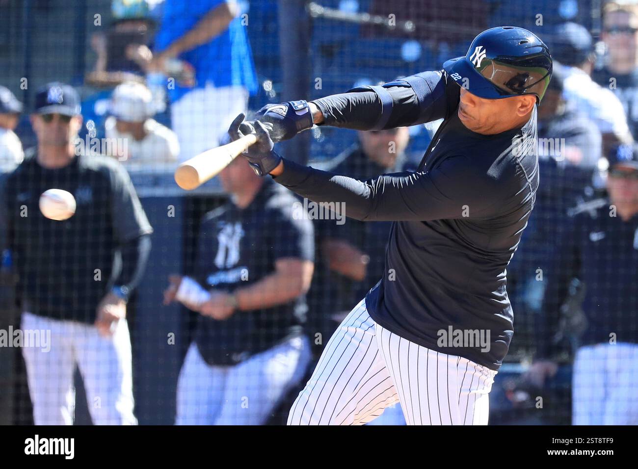 TAMPA, FL - FEBRUARY 17: New York Yankees Infielder Dominic Smith (22 ...
