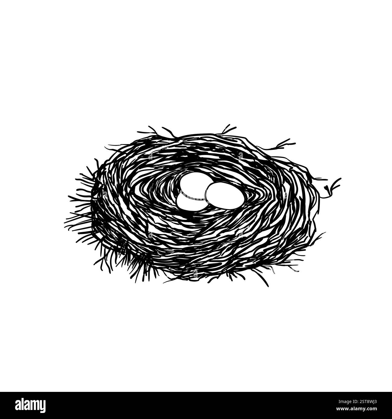 Bird nest with eggs. Easter hand drawn vector illustration, template ...