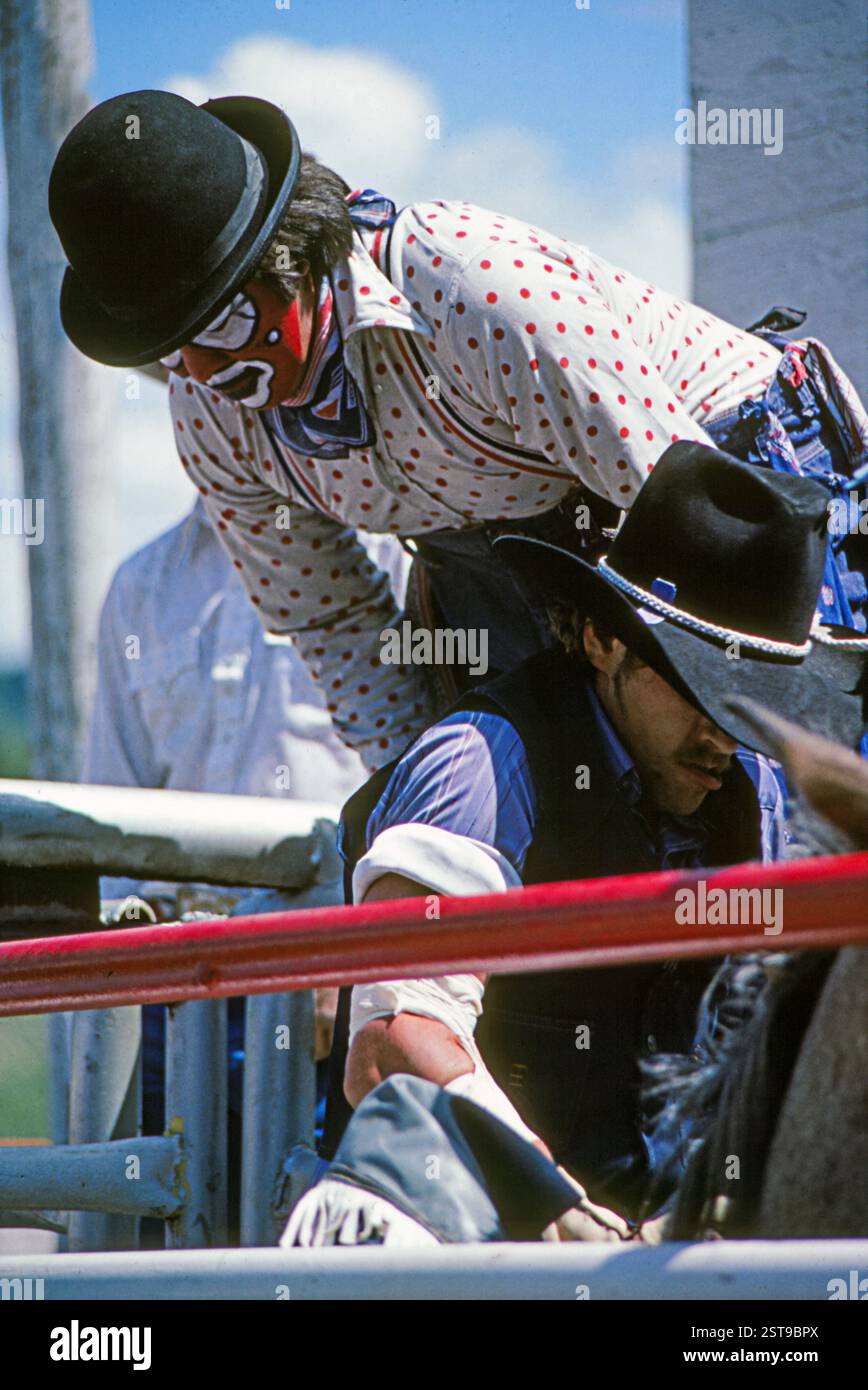 Rodeo clown in costume leaning over a cowboy preparing for a bronco ...