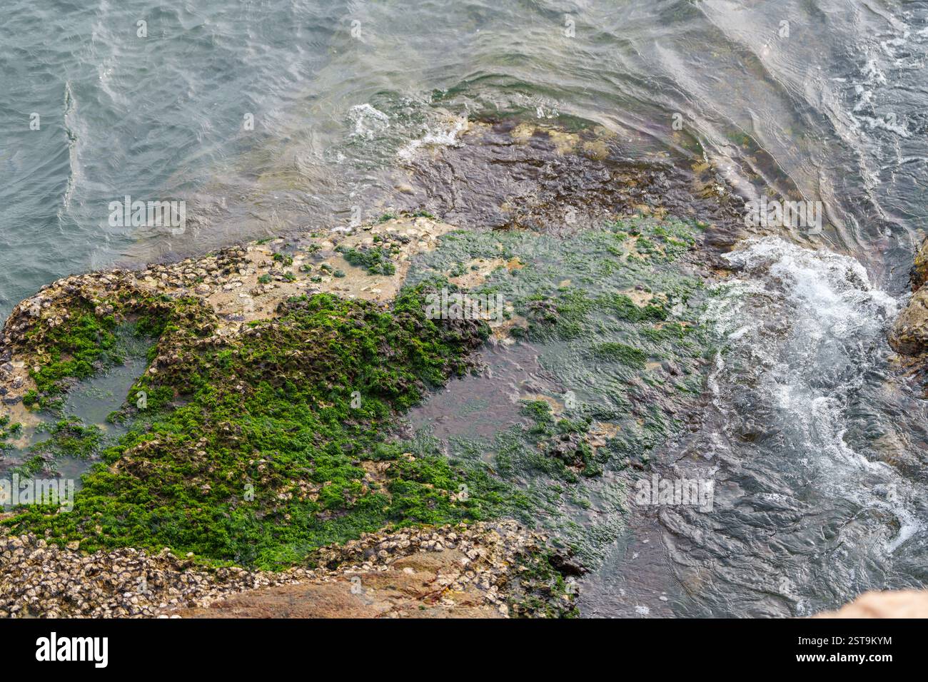 Pure water and sands, rocks, clean sky Stock Photo - Alamy
