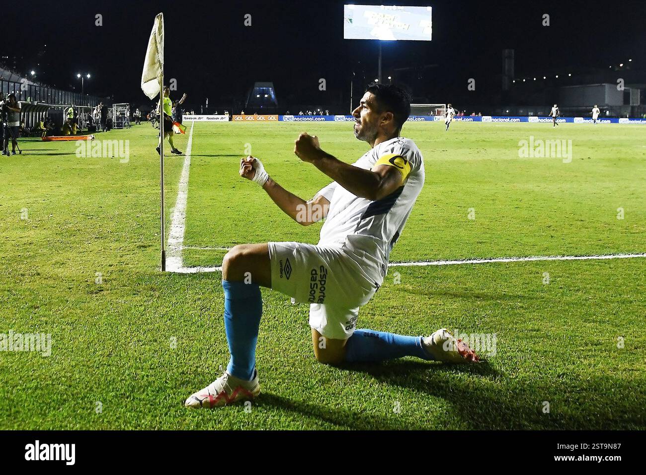 Rio de Janeiro, Brazil, November 16, 2023. Football player Luis Suarez from the Grêmio team, during a match against Botafogo for the Brazilian Champio Stock Photo