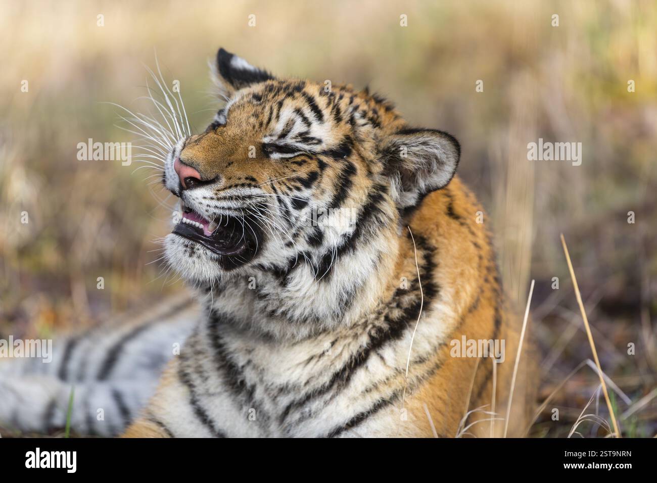 Econ Trail photoshoot! The early morning light is gorgeous. , #photographer  #photography #portraitphotography #portrait #seniorportraits  #seniorpictures #portraitphotoshoot #portraitphotographer ..., image size:1300x956