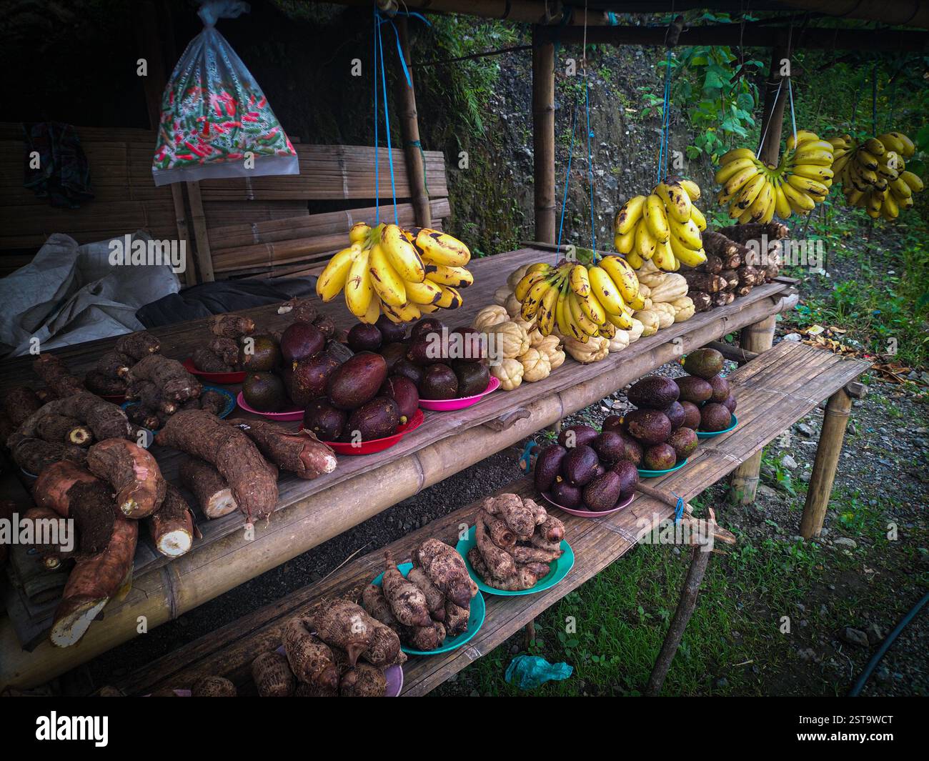 Organic farming timor hi-res stock photography and images - Alamy