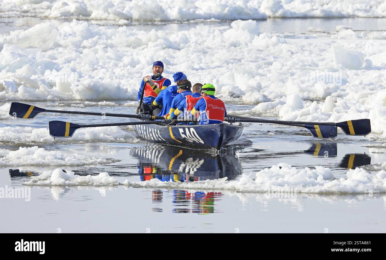 Traditional Ice Canoe Race on frozen Saint Lawrence River from Quebec to Levis during Quebec winter Carnival. Stock Photo