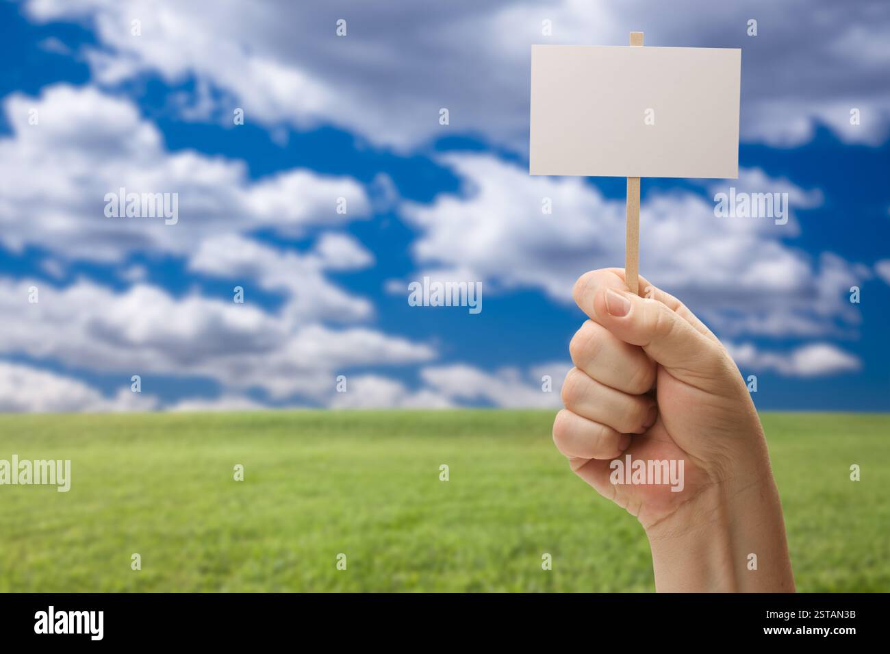 Blank Sign in Male Fist Over Grass Field and Sky with Clouds Stock ...