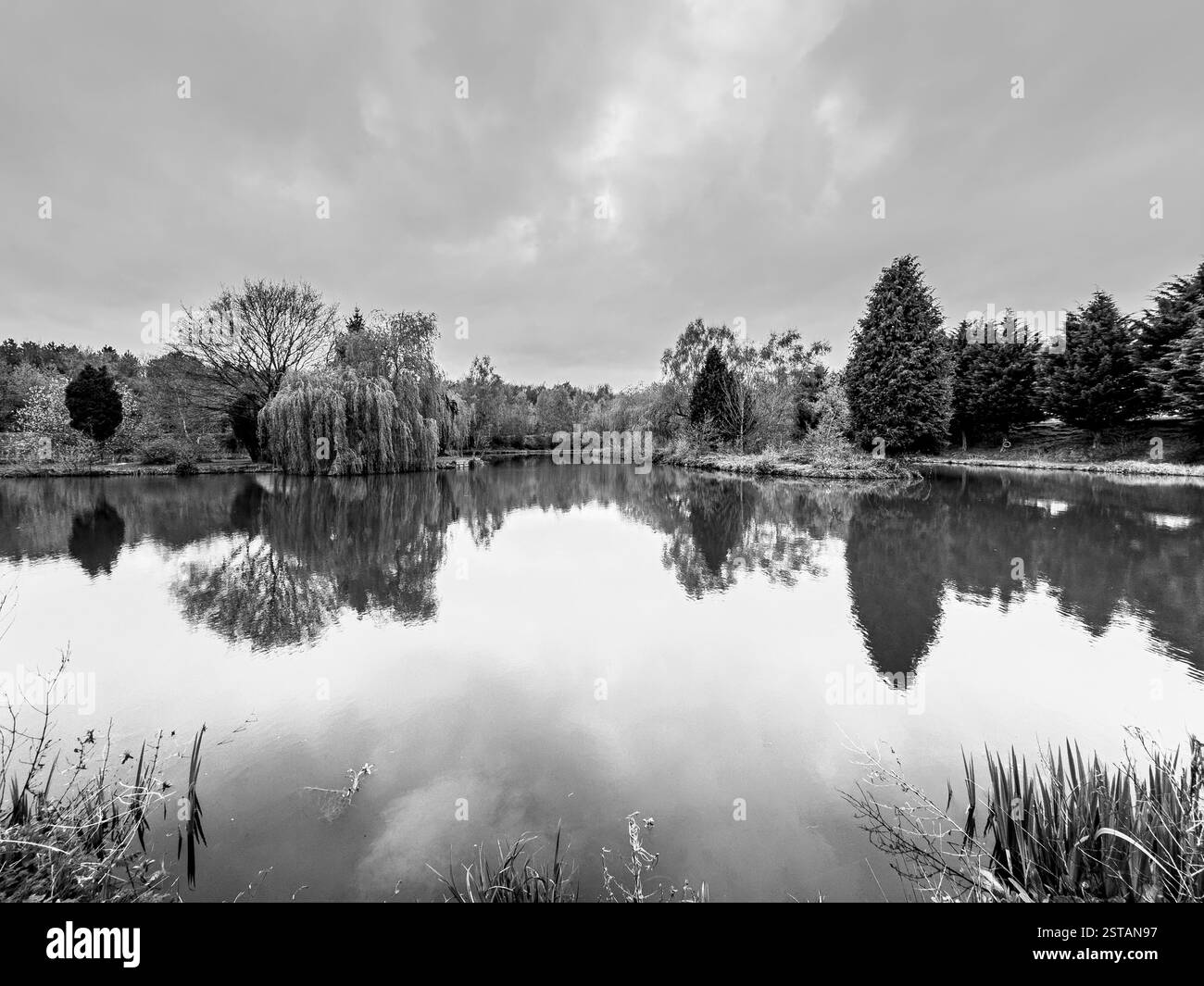Monochrome image of a deserted swimming lake reflecting trees at the water’s edge. York. UK Stock Photo