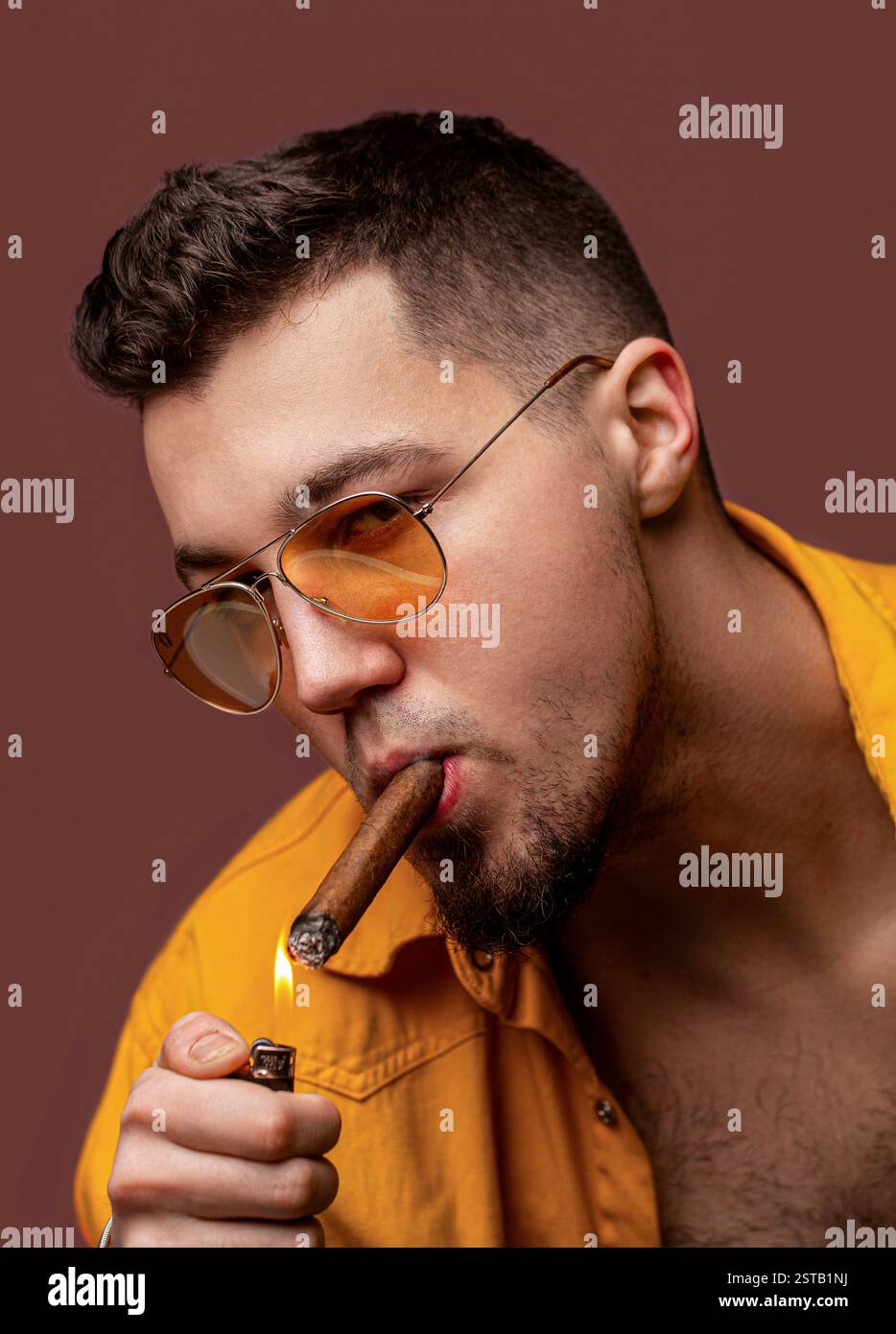 A portrait of a handsome man in a smoking a cigar. Handsome man ...