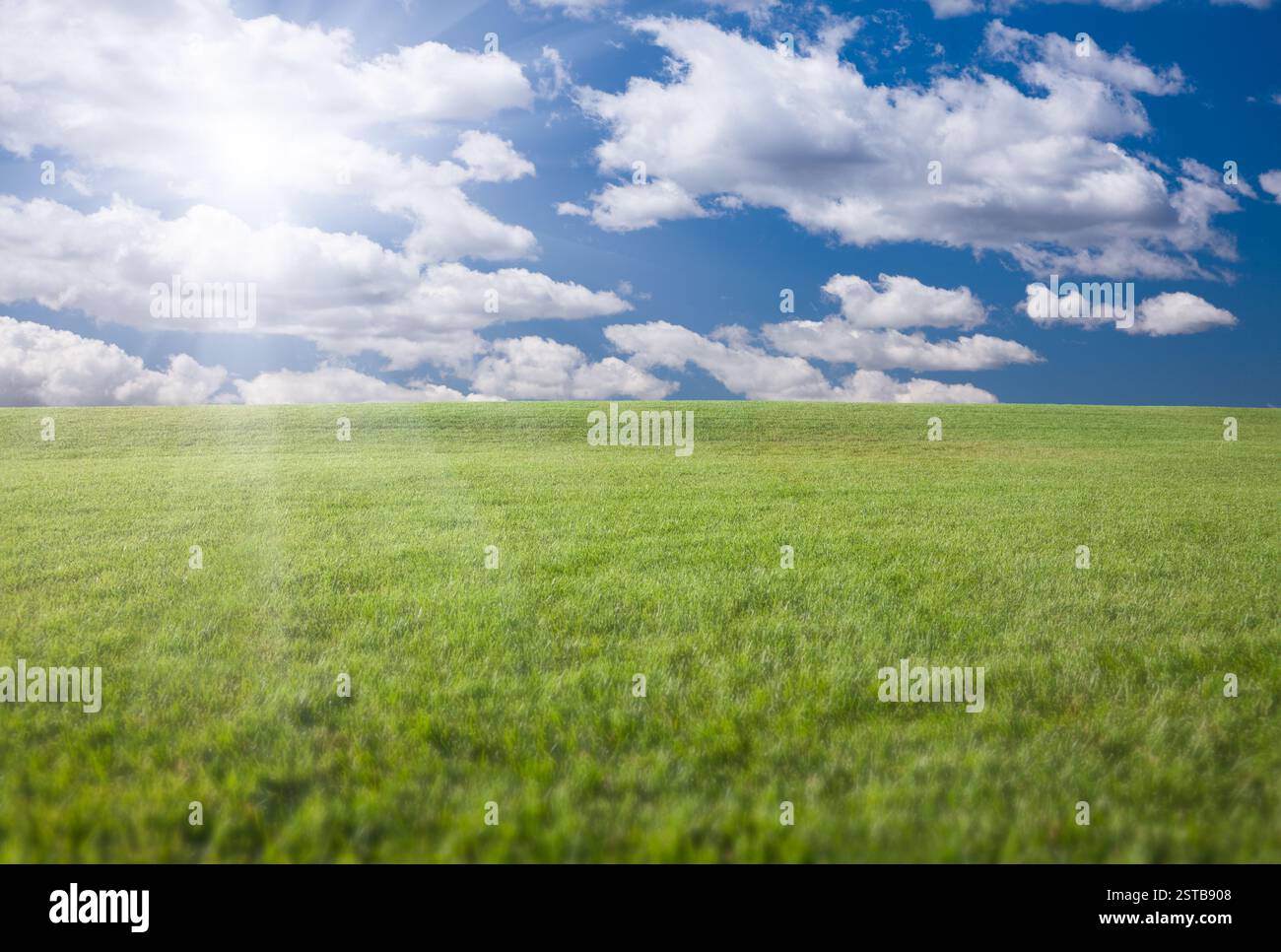 Lush Green Grass Field, Blue Sky with Clouds and Sun Stock Photo - Alamy
