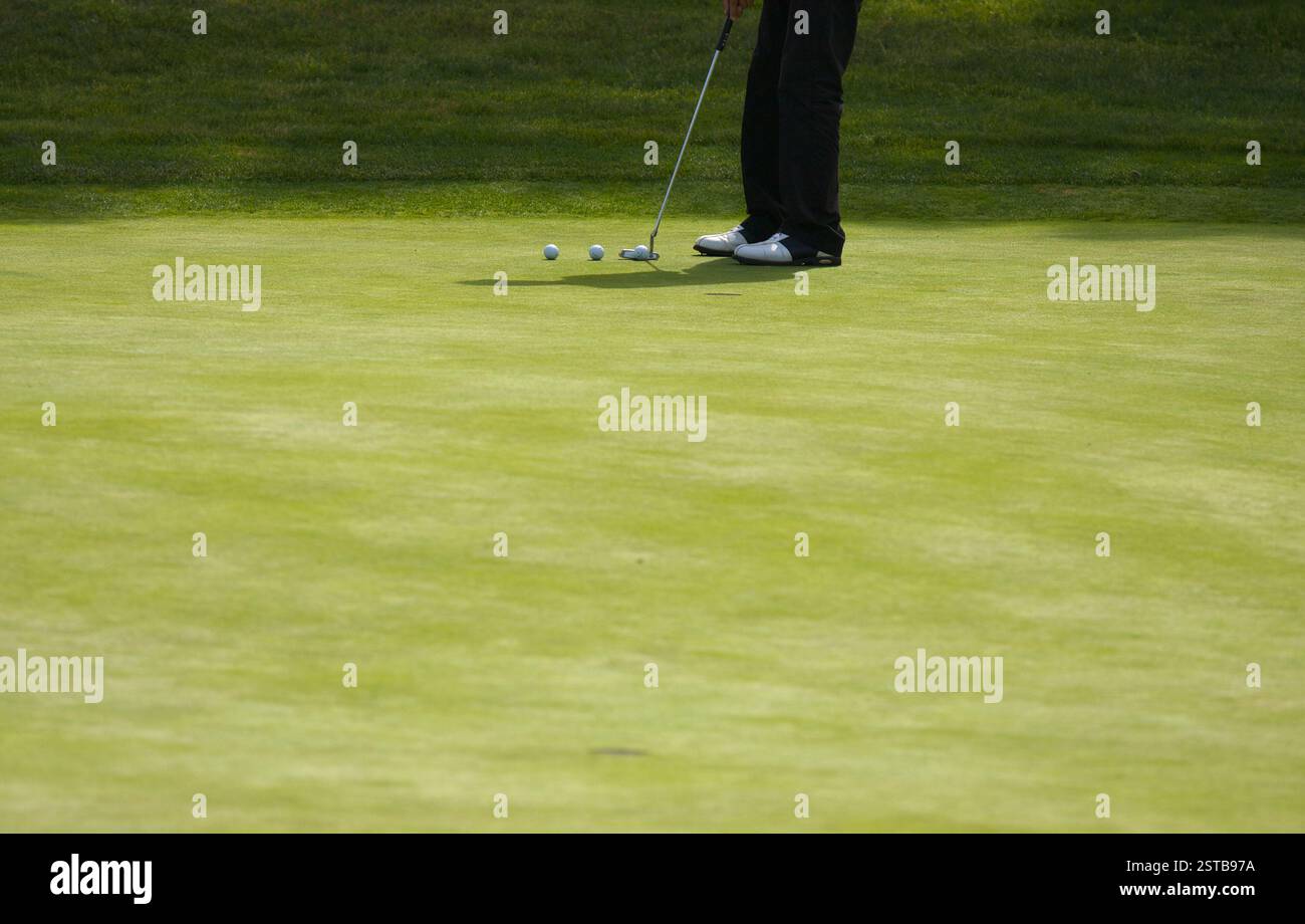 Golf Putting on the Green Stock Photo