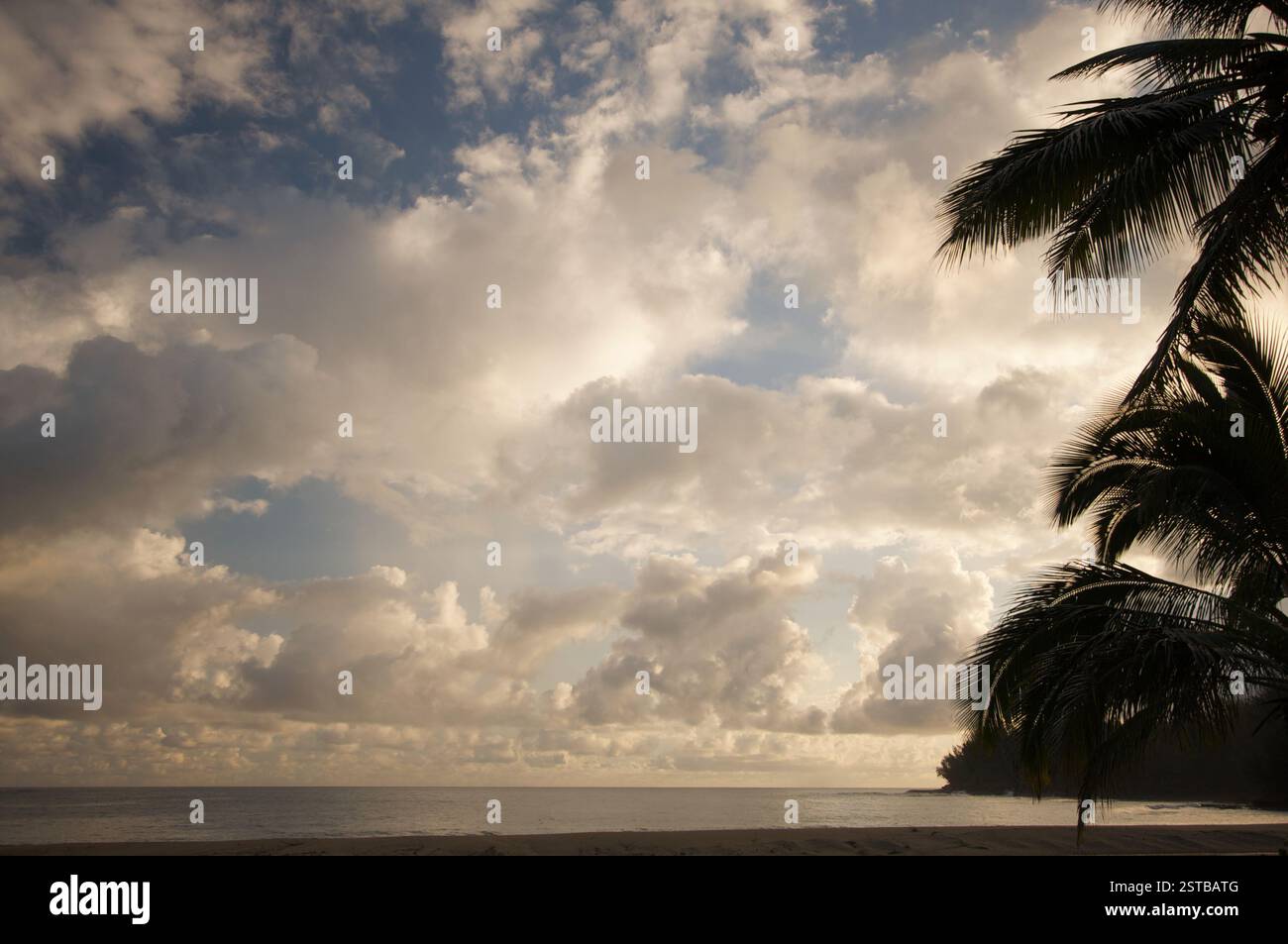 Palm trees sunset tropical hi-res stock photography and images - Alamy