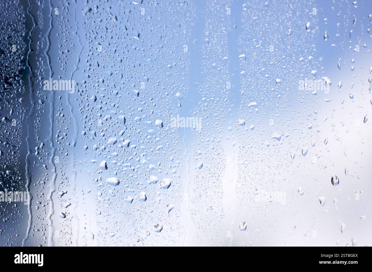 Rain Drops on Window Stock Photo