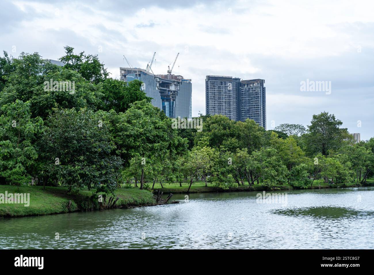 Serene Urban Oasis: Lush Green Park with Lake and Modern City Skyline ...