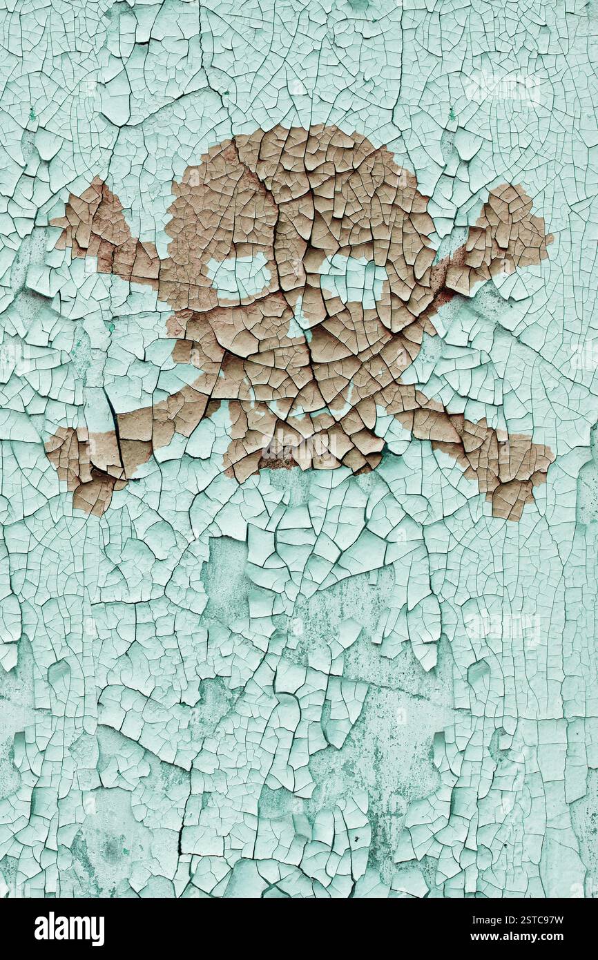 Skull and cross bones on the old wall Stock Photo