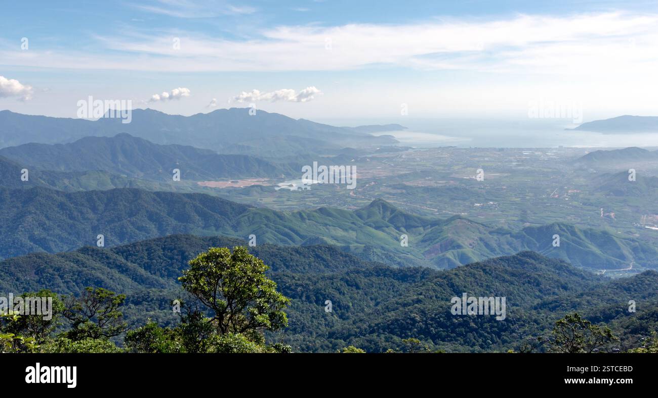 Aerial view hills in trees hi-res stock photography and images - Alamy