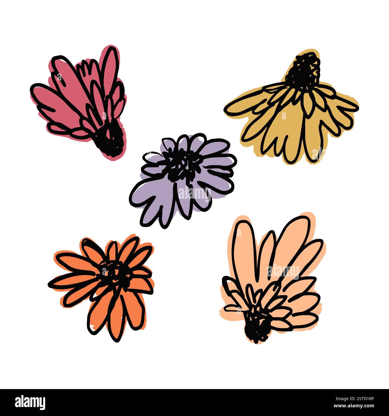 Hand drawn black ink abstract wild flowers composition print isolated ...
