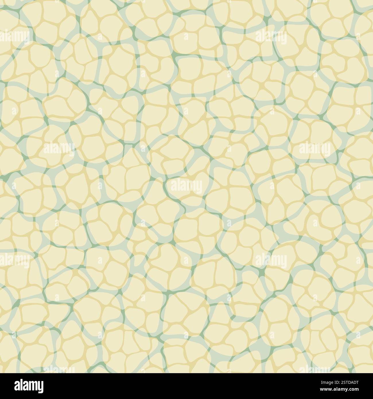 Cellular sample hi-res stock photography and images - Alamy