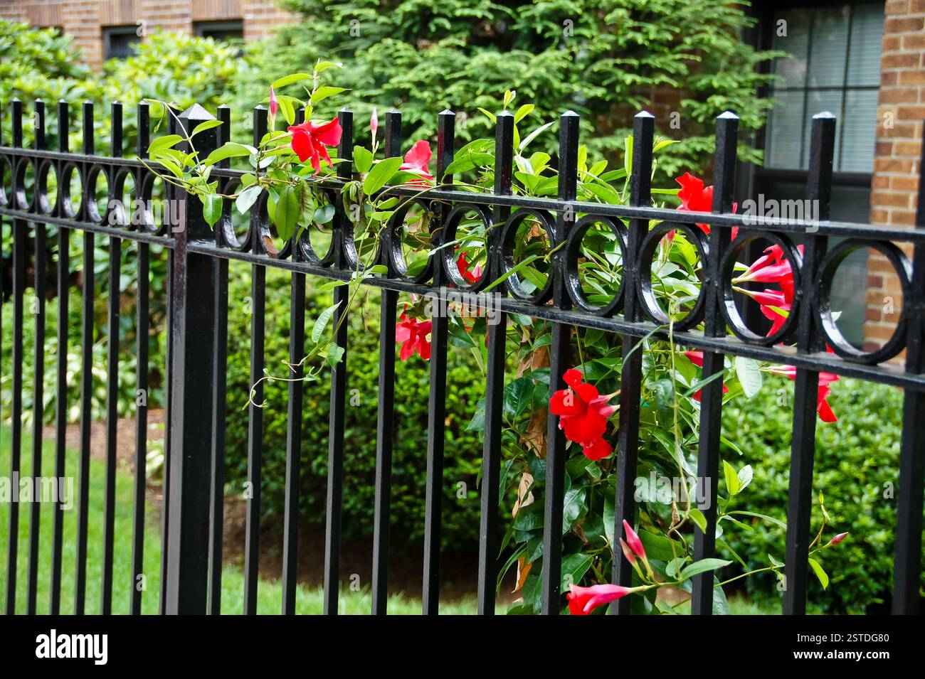 Green wrought iron fence hi-res stock photography and images - Alamy
