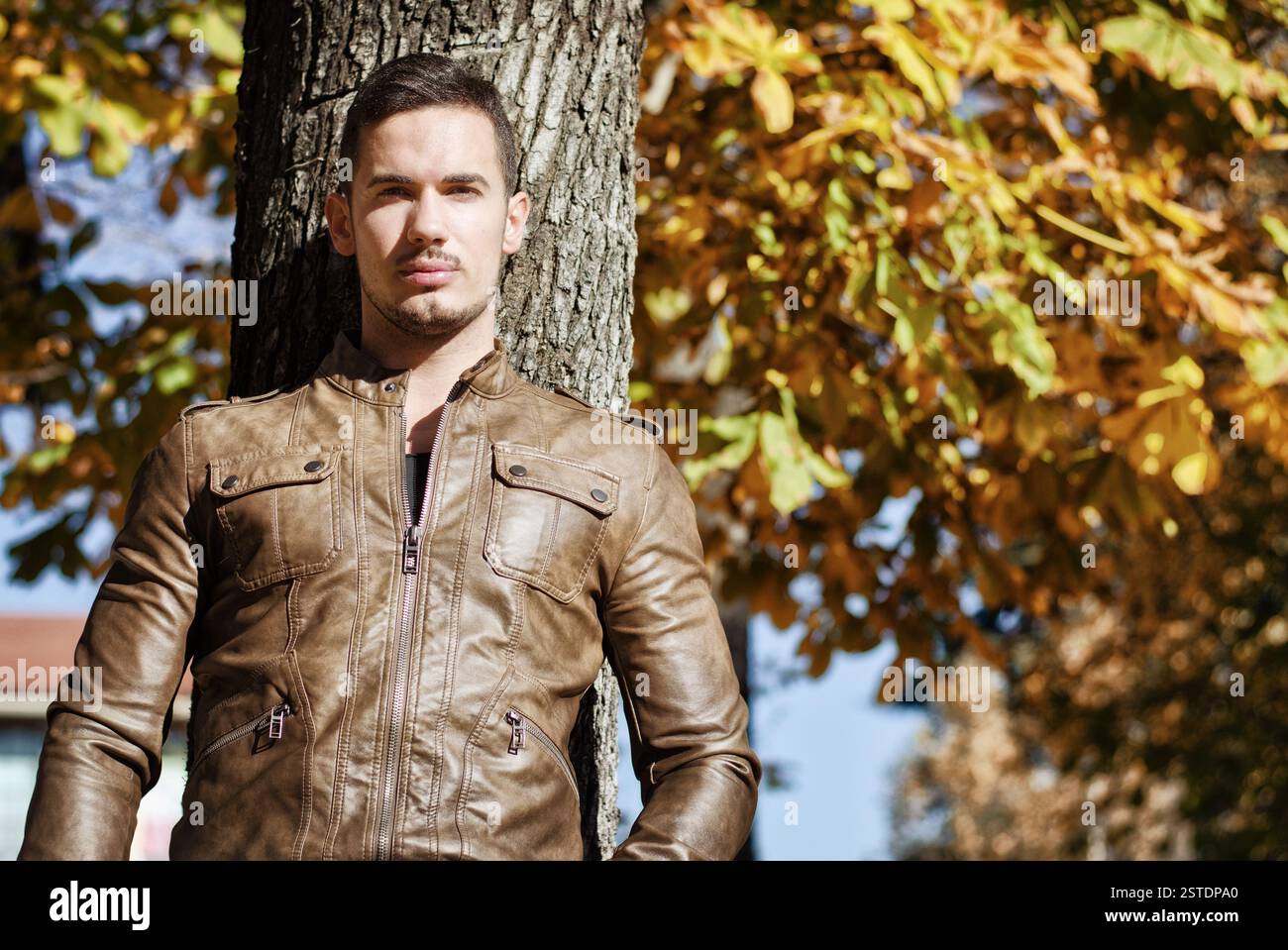 Tree man hi-res stock photography and images - Alamy
