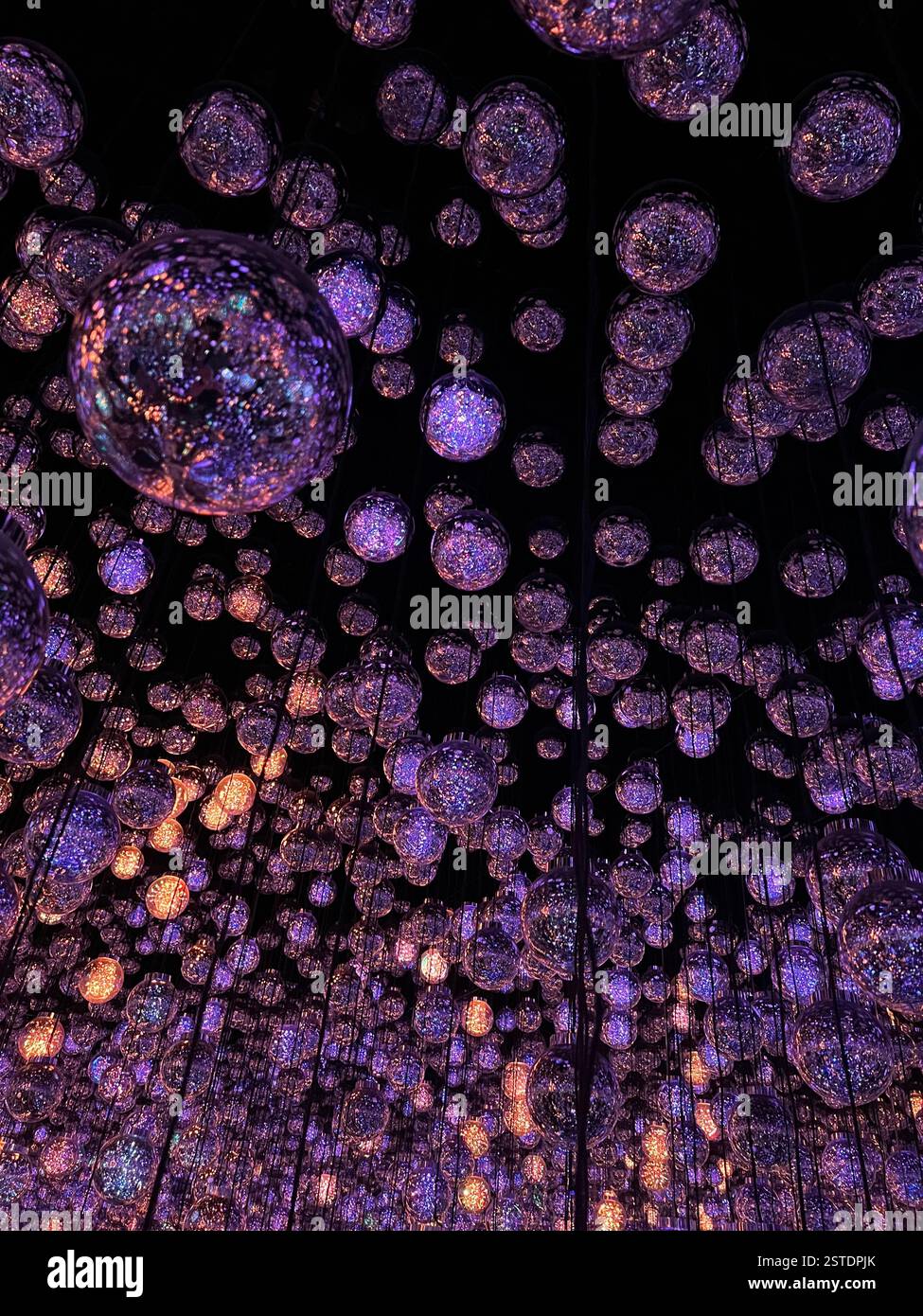 TeamLab Borderless art installation purple light bulbs room warm colors light bulbs hanging from the ceiling dark beautiful modern art | Tokyo Japan - Smartphone Captured Stock Image