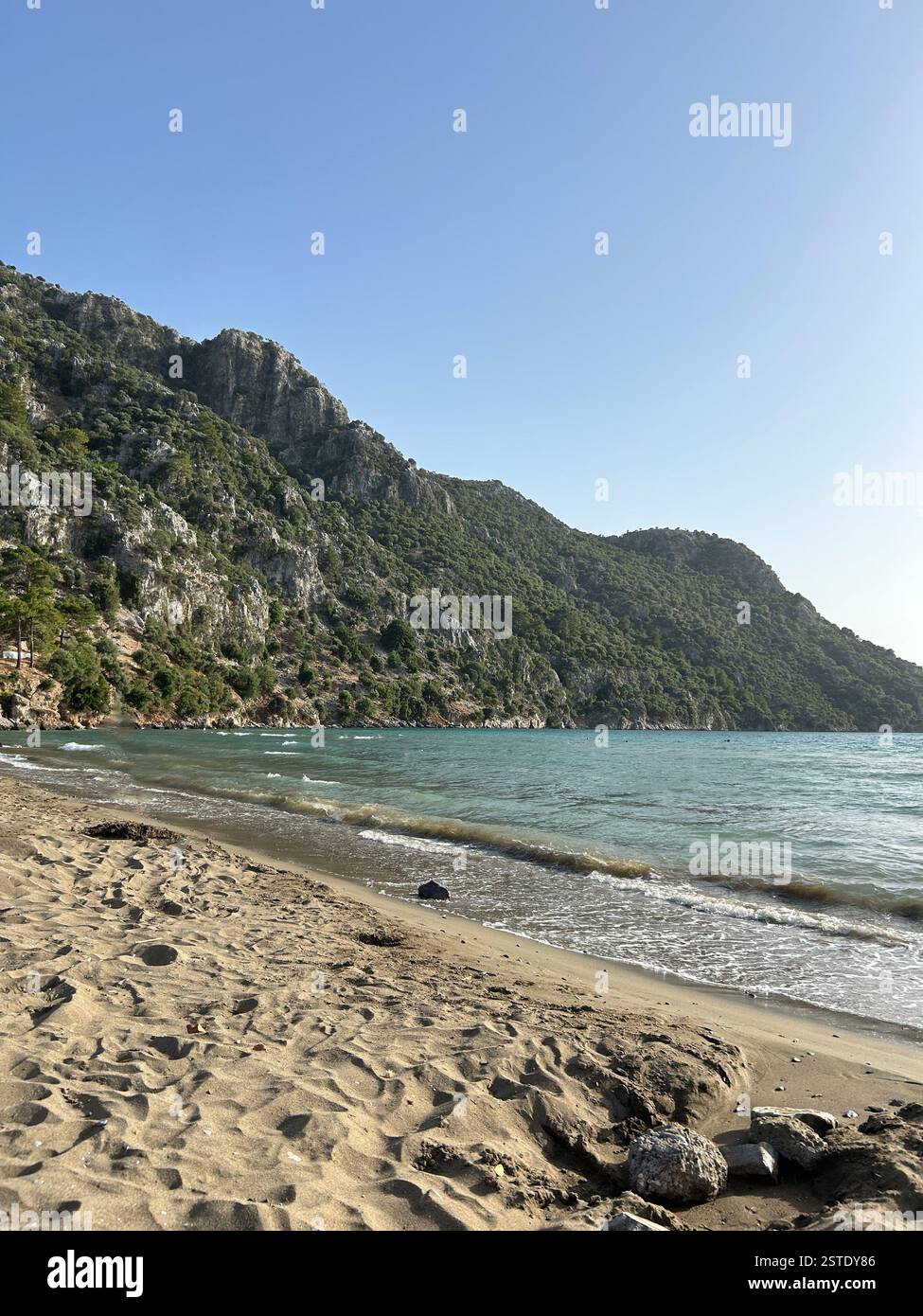 Picture of a sandy beach with mountains and trees in the background - Smartphone Captured Stock Image