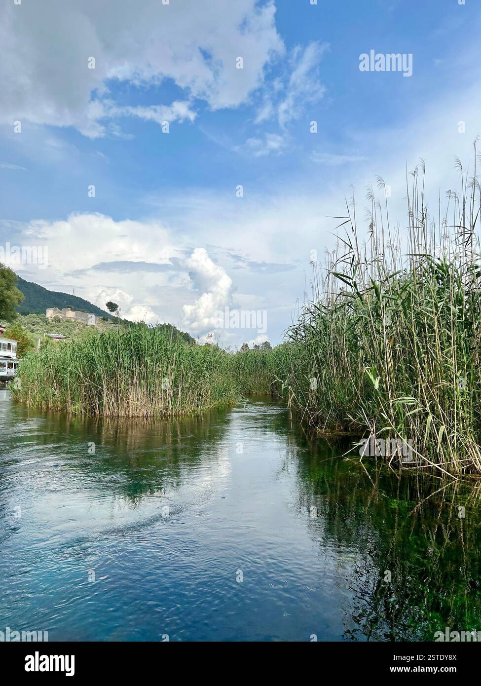 Beautiful river landscape in Akyaka, Türkiye surrounded by tall reeds - Smartphone Captured Stock Image