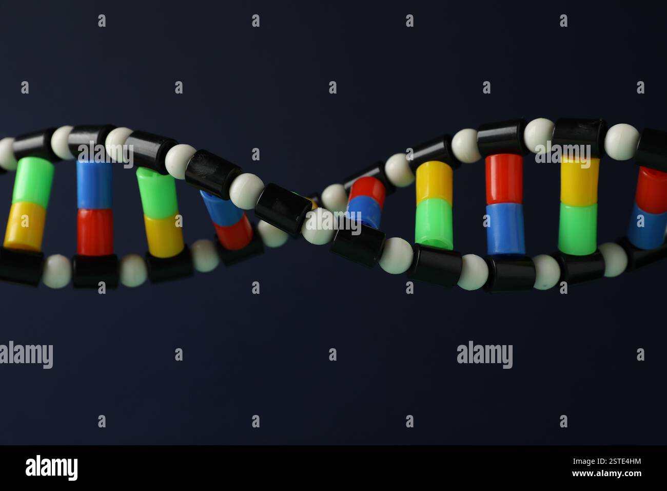 DNA structure model on dark background, closeup Stock Photo