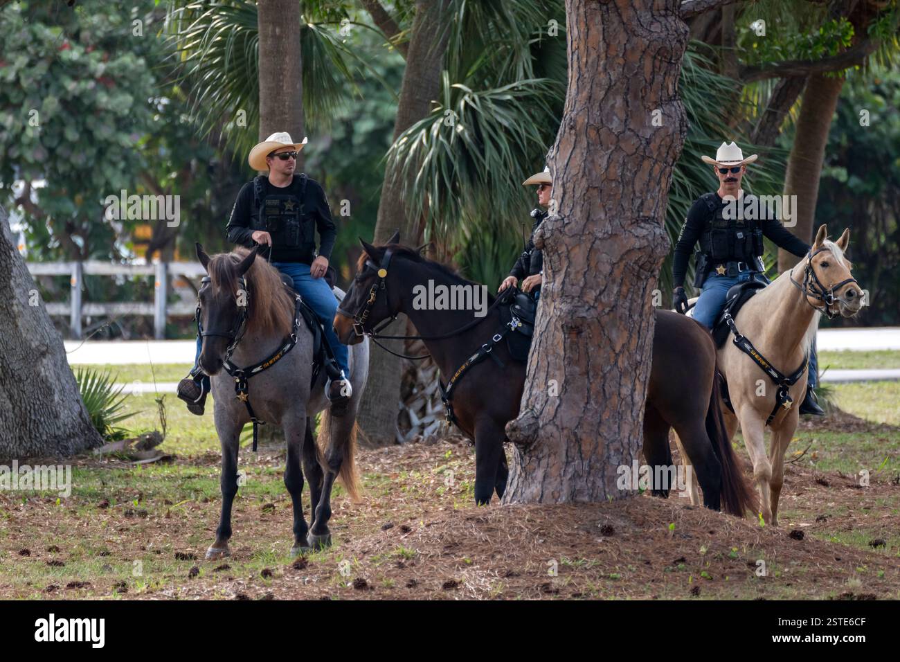 Mounted police from the Palm Beach County Sheriff's Department patrol ...