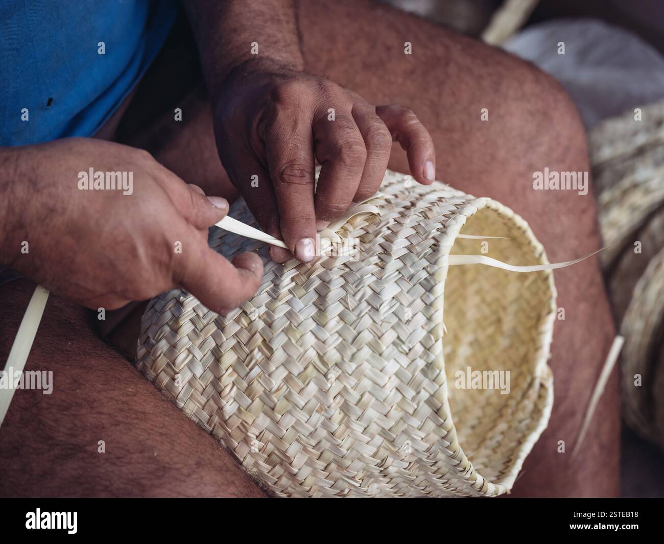 Close-up view of an artisan hands meticulously weaving a palmito basket ...
