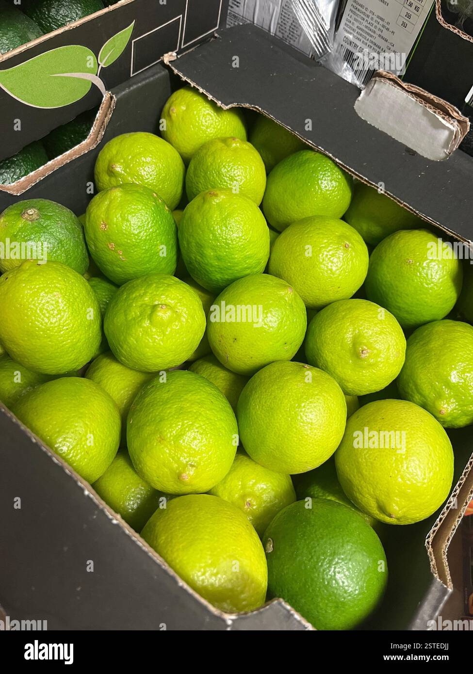 lime, limes, citrus fruits, crate, warehouse, storage, agriculture, food supply, logistics, distribution, supply chain, agriculture - Smartphone Captured Stock Image