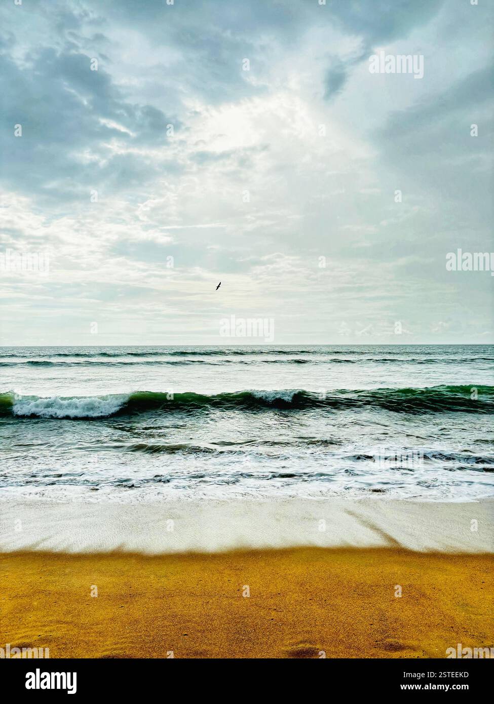 Natures golden treasures hi-res stock photography and images - Alamy