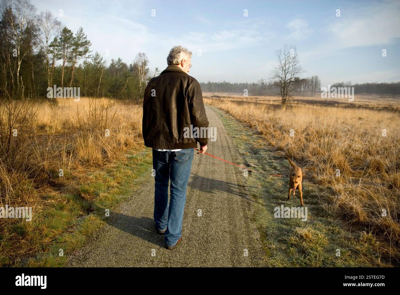 Man walking in nature hi-res stock photography and images - Alamy
