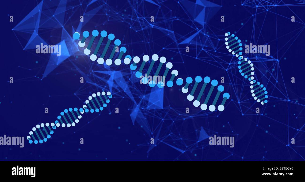 DNA strands and network connections, scientific data processing image Stock Photo