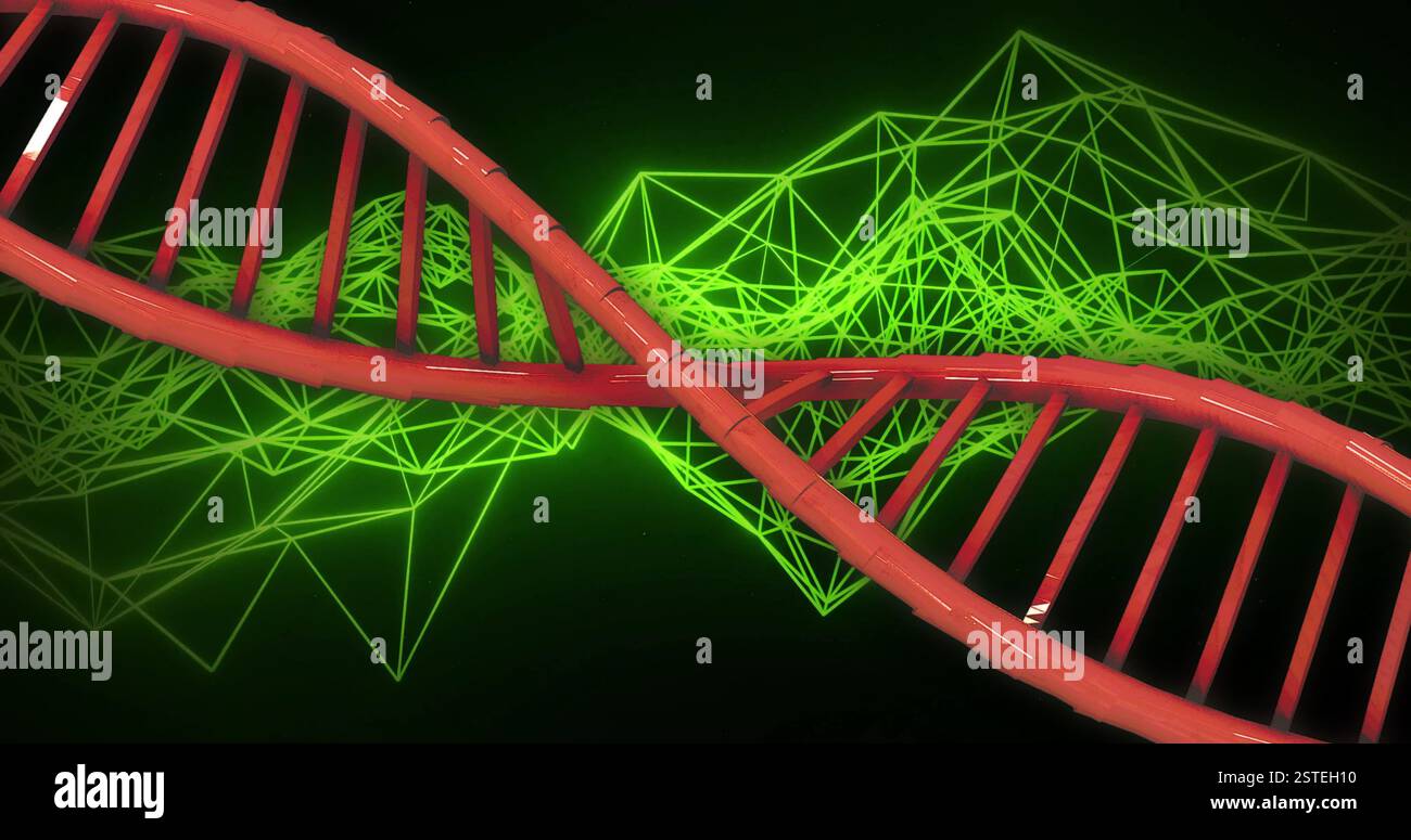 DNA strand image over green geometric network background Stock Photo
