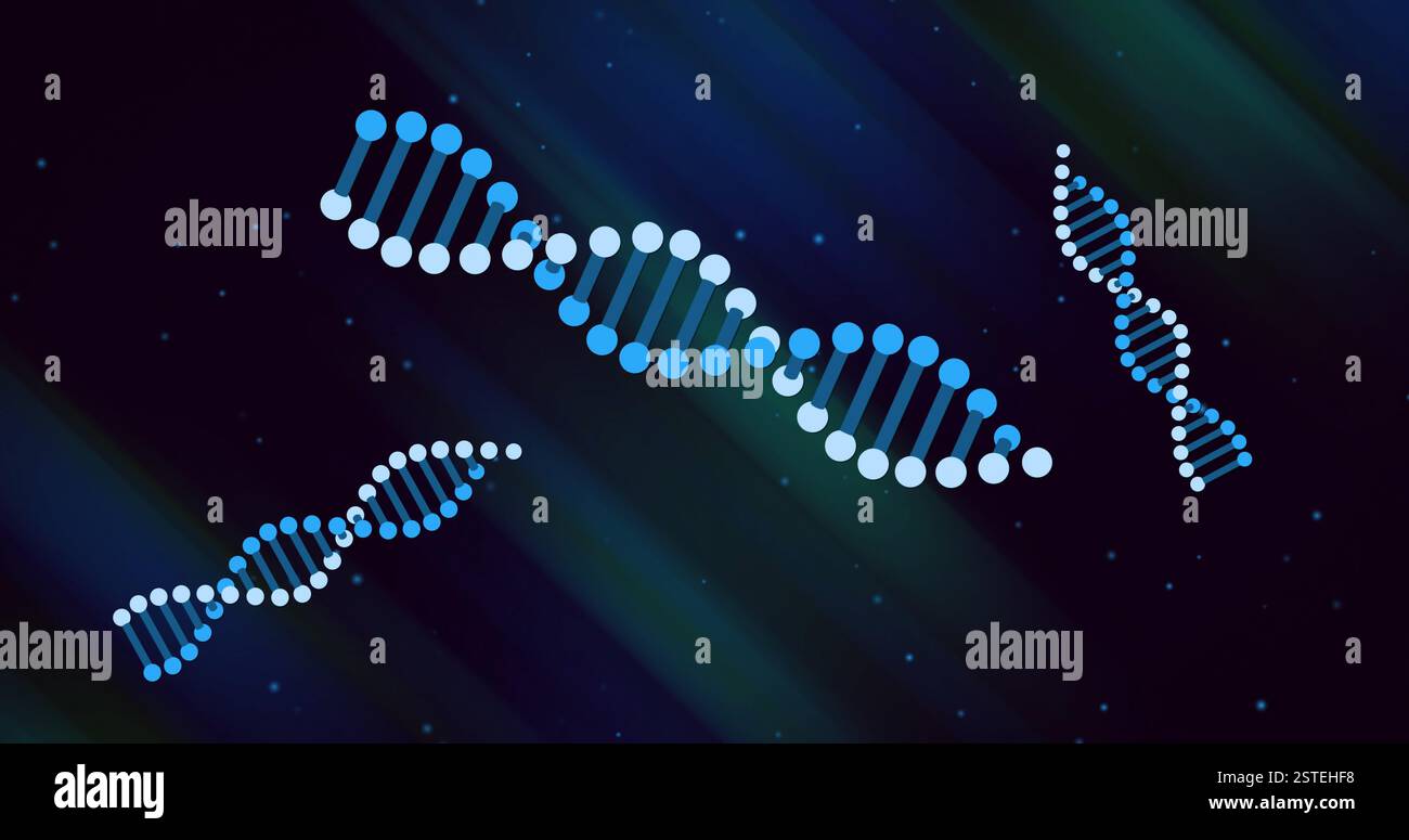 DNA strands and binary coding, scientific data processing image Stock Photo
