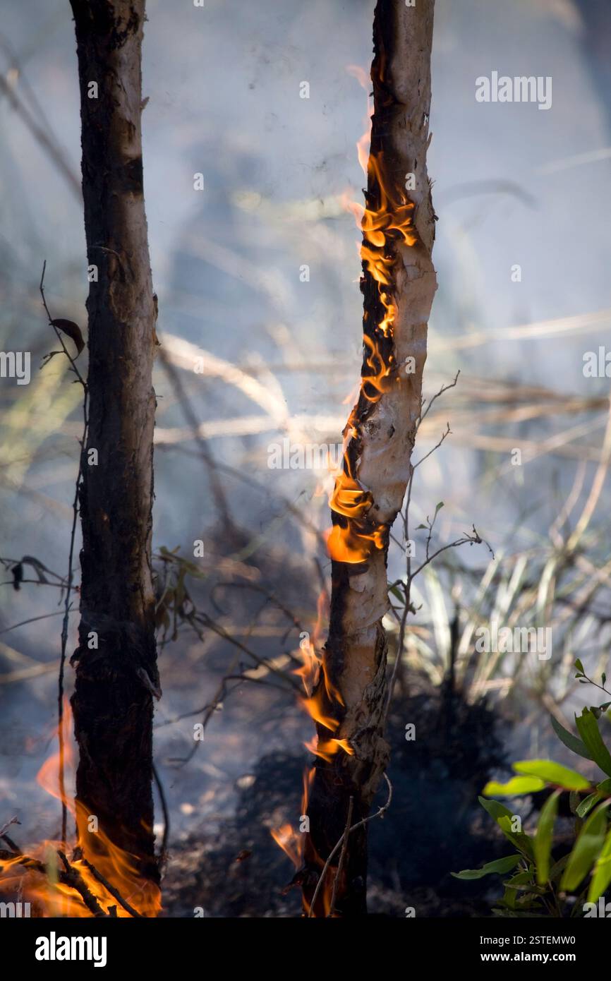 Natural disaster Stock Photo