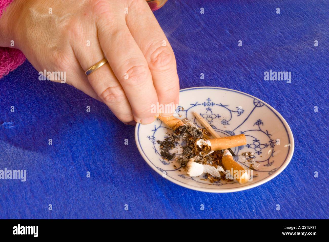 farming tobacco The Story of the Tobacco Industry in North Carolina