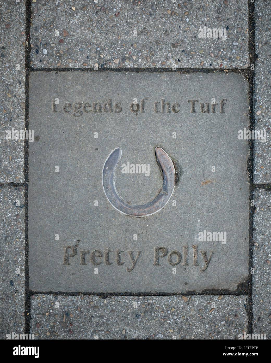 Legends of the Turf Newmarket - Newmarket's 'Walk of Fame' - commemorative paving slabs laid in Newmarket High Street. Pretty Polly - Racehorse Stock Photo