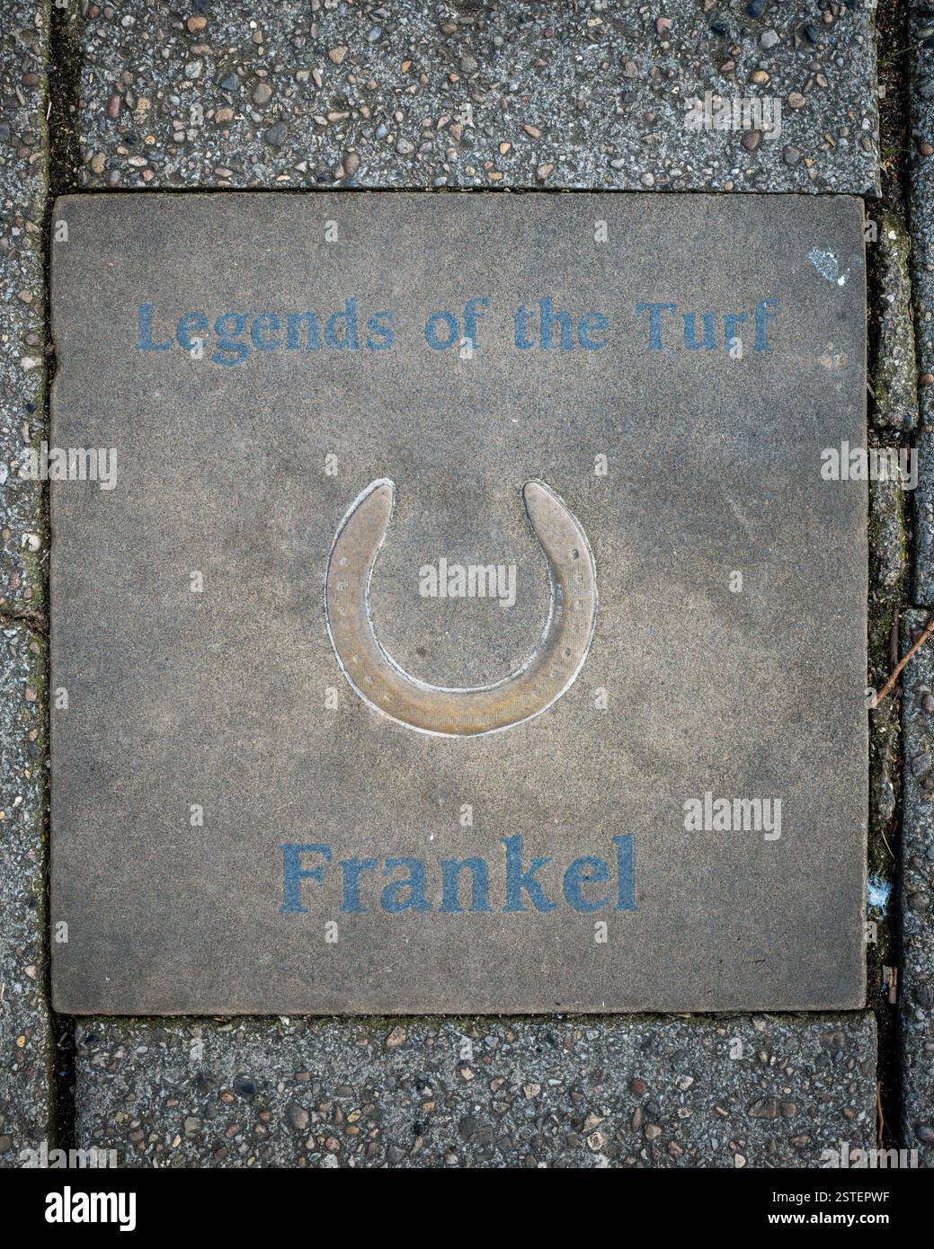 Legends of the Turf Newmarket - Newmarket's 'Walk of Fame' - commemorative paving slabs laid in Newmarket High Street. Frankel - Racehorse Stock Photo