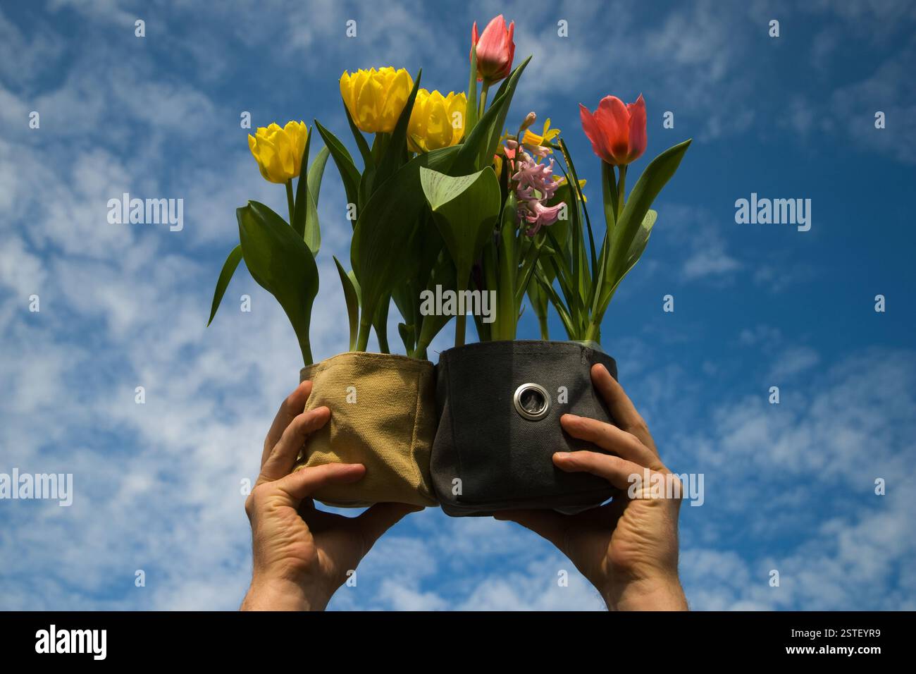 Air spring hi-res stock photography and images - Alamy
