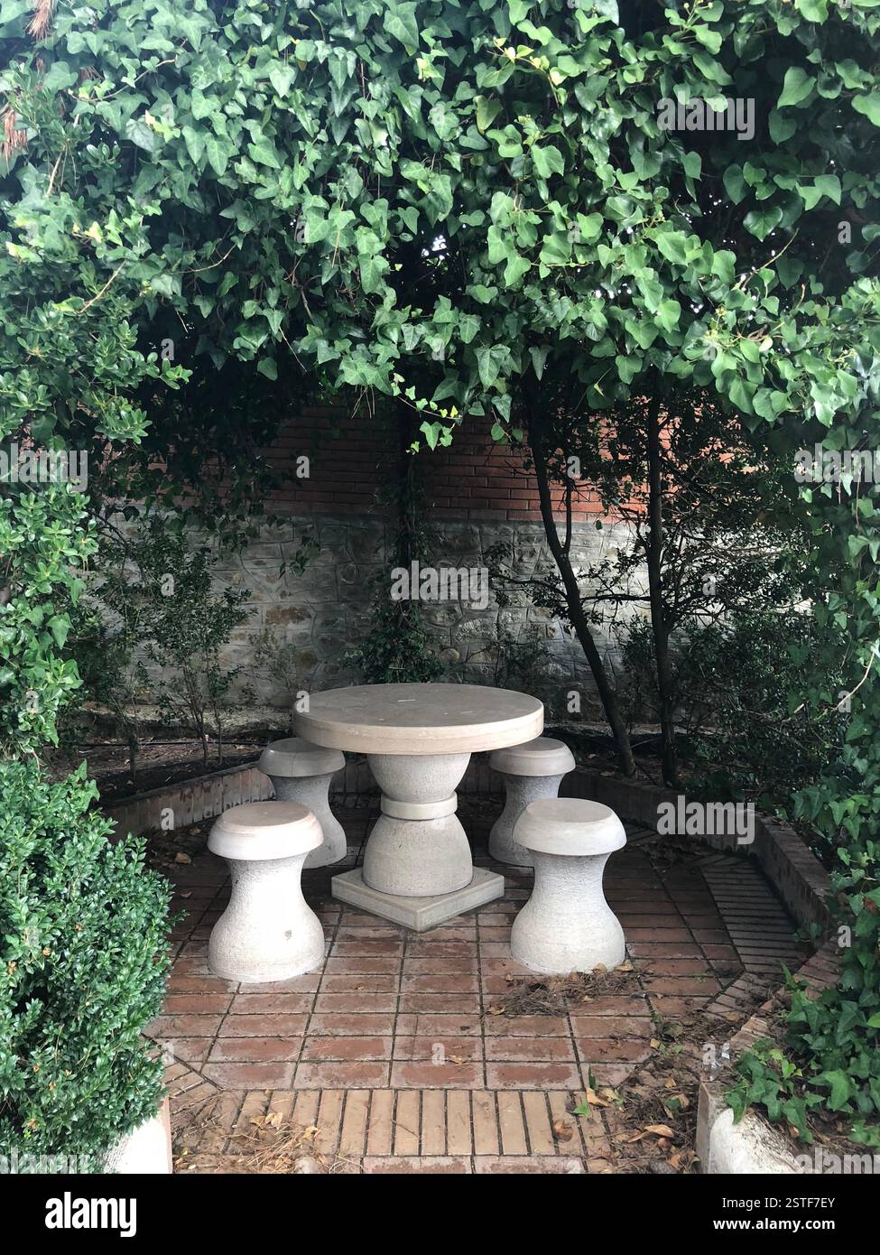 Ripacandida: A charming stone table and chairs nestled under a canopy of vibrant green leaves in the garden Stock Photo