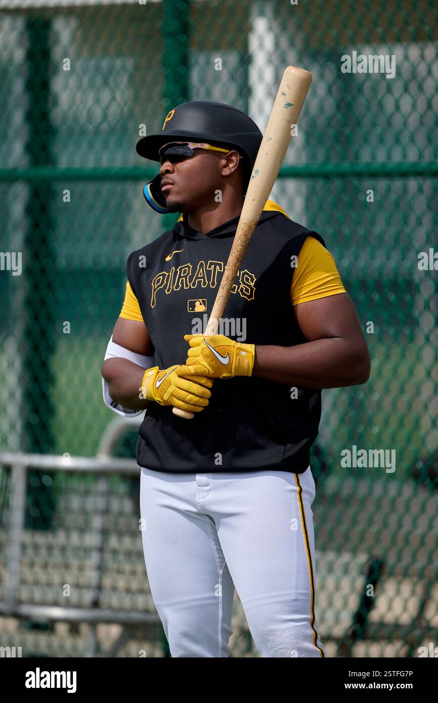 Pittsburgh Pirates Termarr Johnson (81) gets ready to hit during an MLB