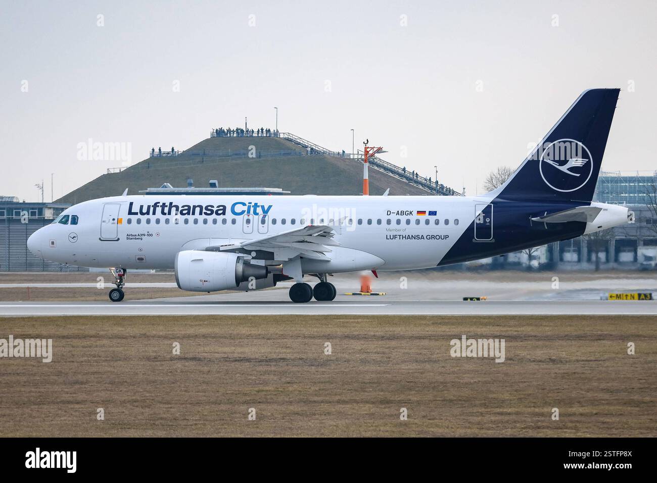 The Scope of Flight Disruptions