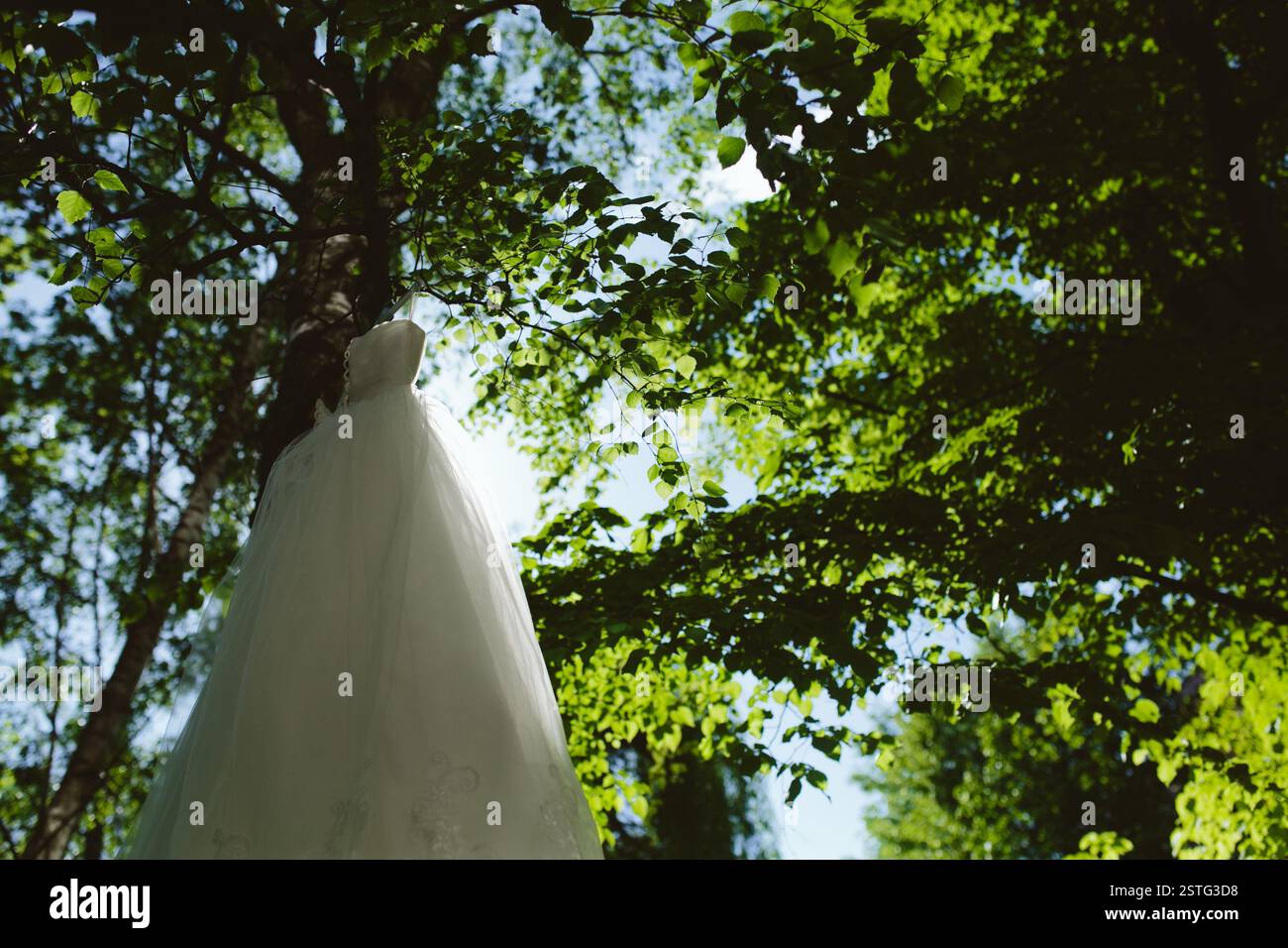 Wedding dress hanging on a tree Stock Photo - Alamy
